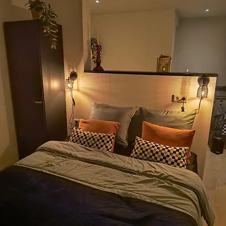 Natuurhuisje 't Hoogbos - Weidezicht *