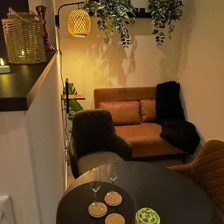 Natuurhuisje 't Hoogbos - Weidezicht Schijf