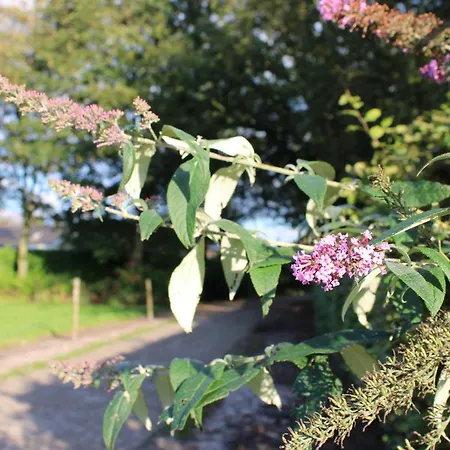 Natuurhuisje 't Hoogbos - Weidezicht *