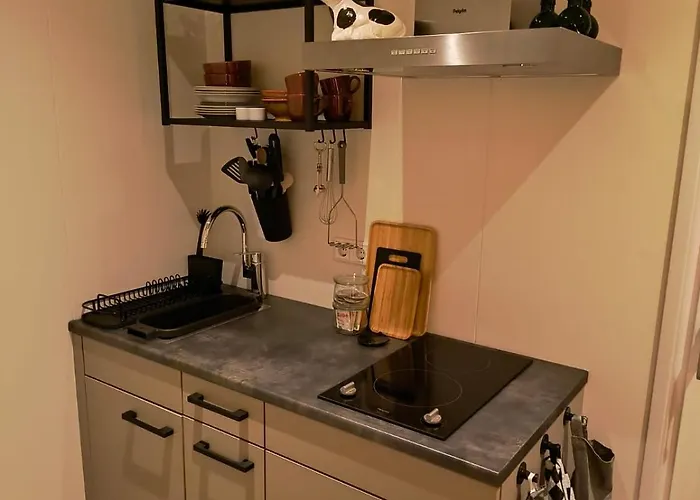 Natuurhuisje 't Hoogbos - Weidezicht