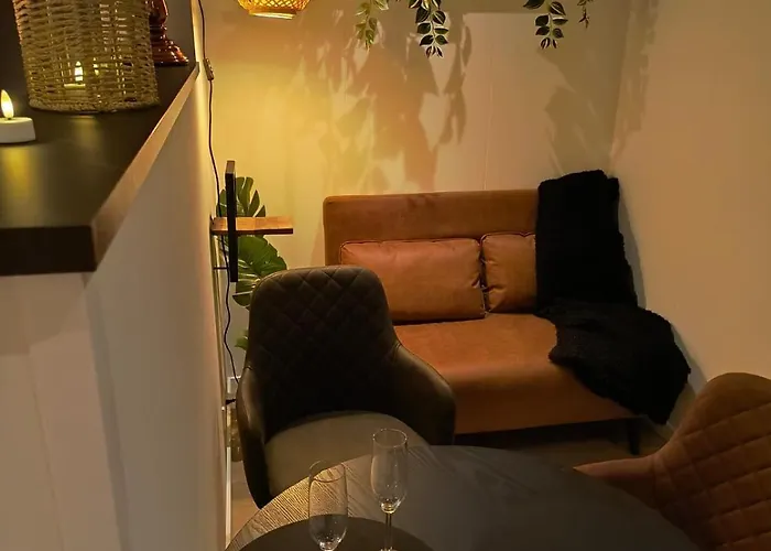 Natuurhuisje 't Hoogbos - Weidezicht Schijf