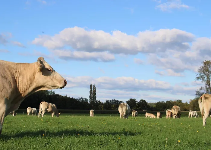 Lodge Natuurhuisje 't Hoogbos - Weidezicht *
