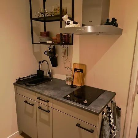 Natuurhuisje 't Hoogbos - Weidezicht