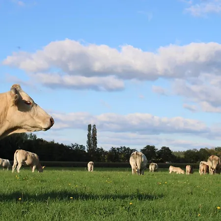 Alojamento de Turismo Selvagem Natuurhuisje 't Hoogbos - Weidezicht *