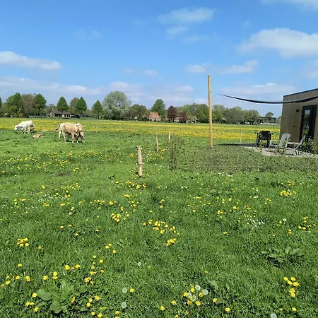 بيت خشبي Natuurhuisje 't Hoogbos - Weidezicht *